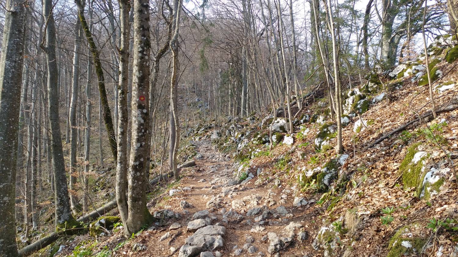 Breznica - Lubnik slika 17