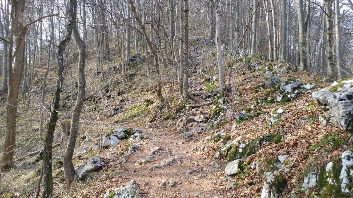 Breznica - Lubnik slika 18