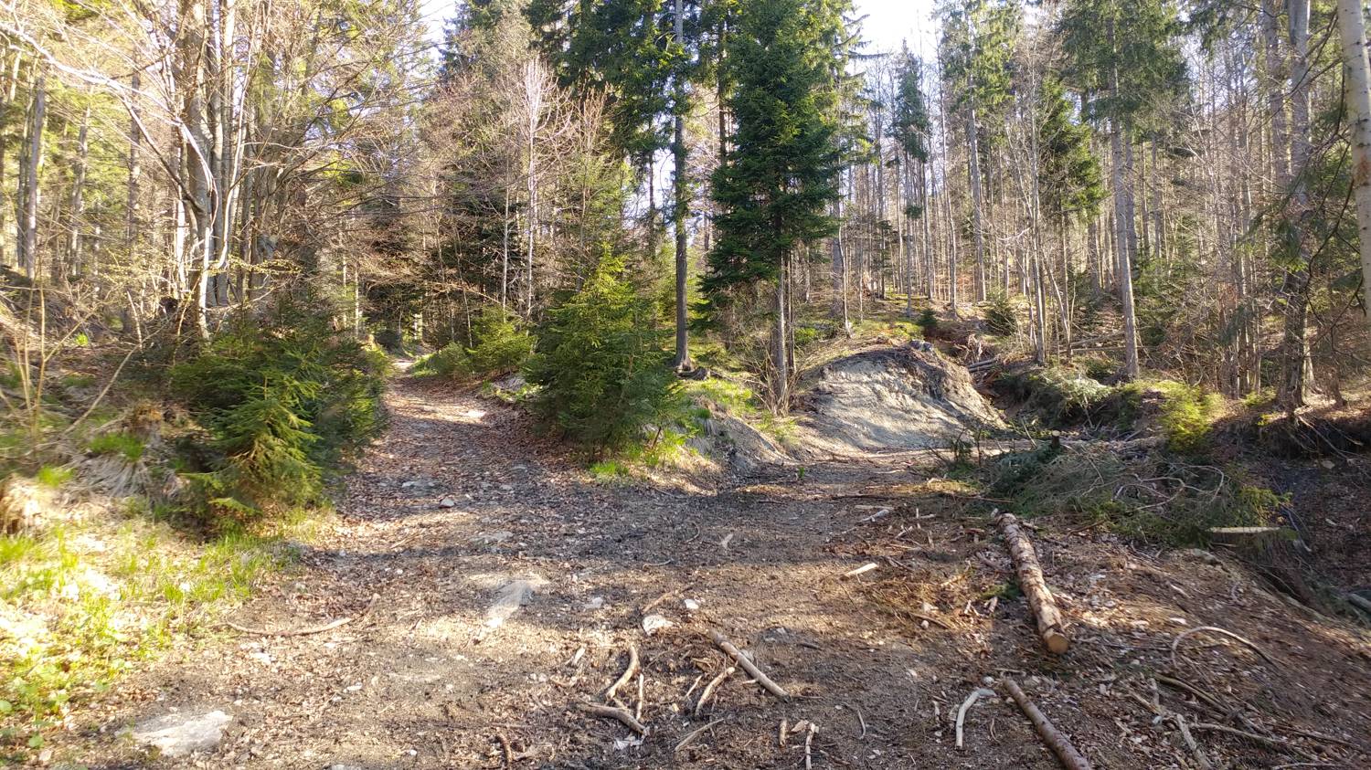 Laze (Gorenja vas) - Črni vrh (smučišče Cerkno) slika 8