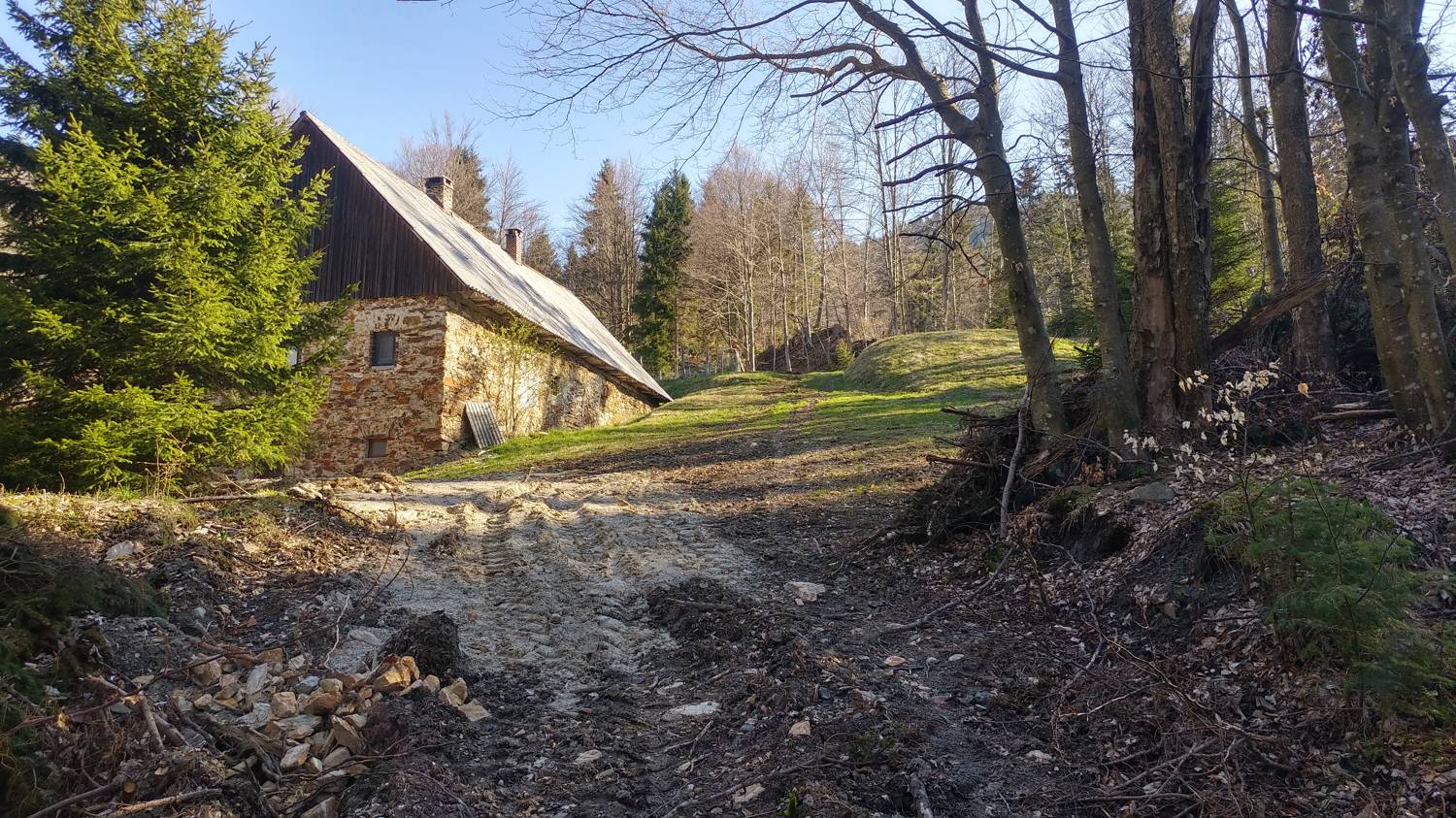 Laze (Gorenja vas) - Črni vrh (smučišče Cerkno) slika 9