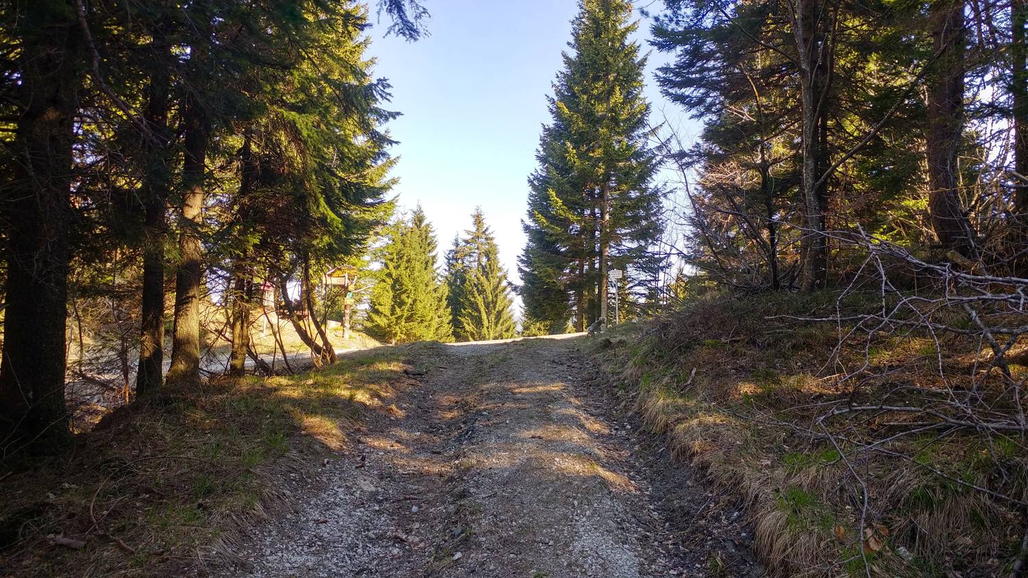 Laze (Gorenja vas) - Črni vrh (smučišče Cerkno) slika 15
