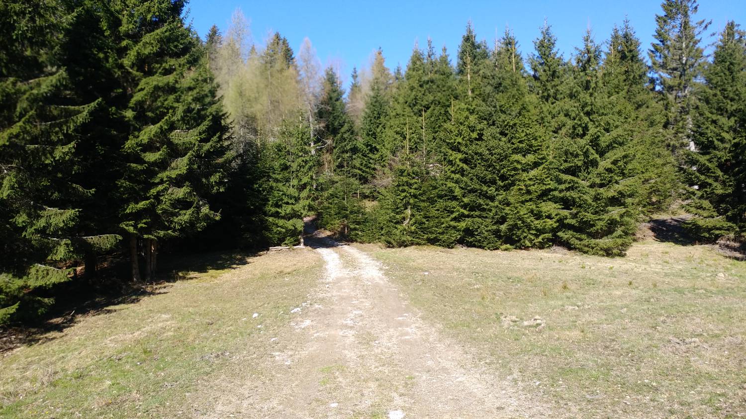 Laze (Gorenja vas) - Črni vrh (smučišče Cerkno) slika 21