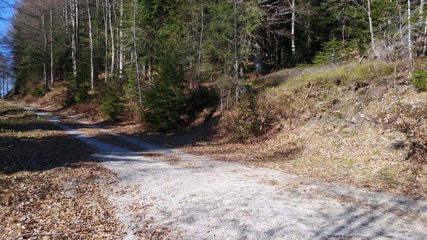 Laze (Gorenja vas) - Črni vrh (smučišče Cerkno) slika 22