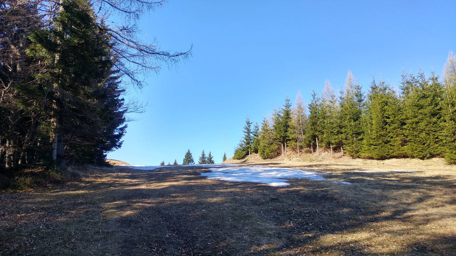 Laze (Gorenja vas) - Črni vrh (smučišče Cerkno) slika 24