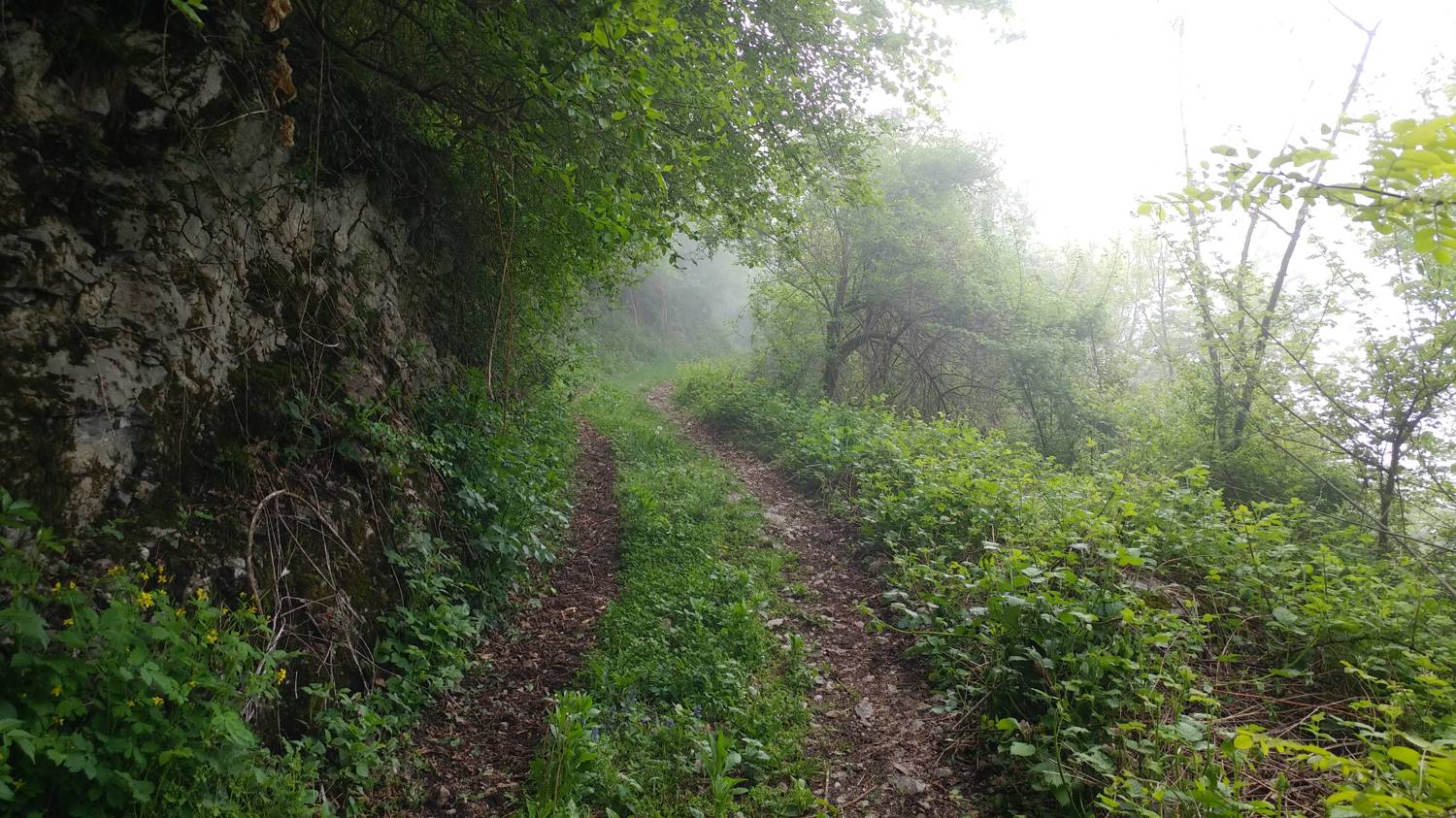 Dolje - Vodel (Vodil vrh) slika 17