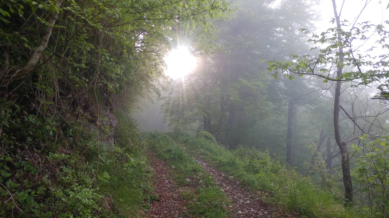 Dolje - Vodel (Vodil vrh) slika 18