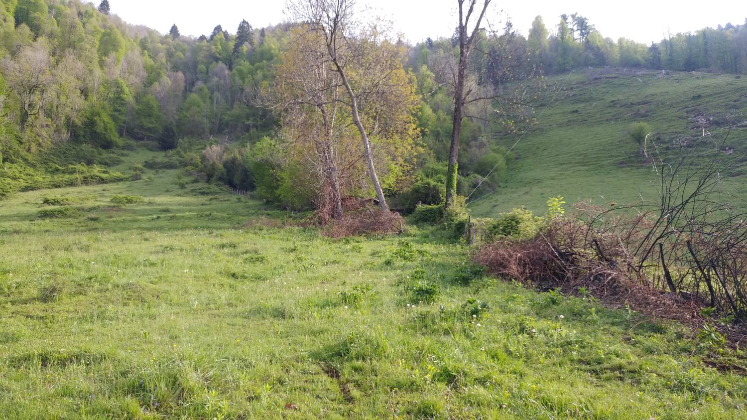 Dolje - Vodel (Vodil vrh) slika 20