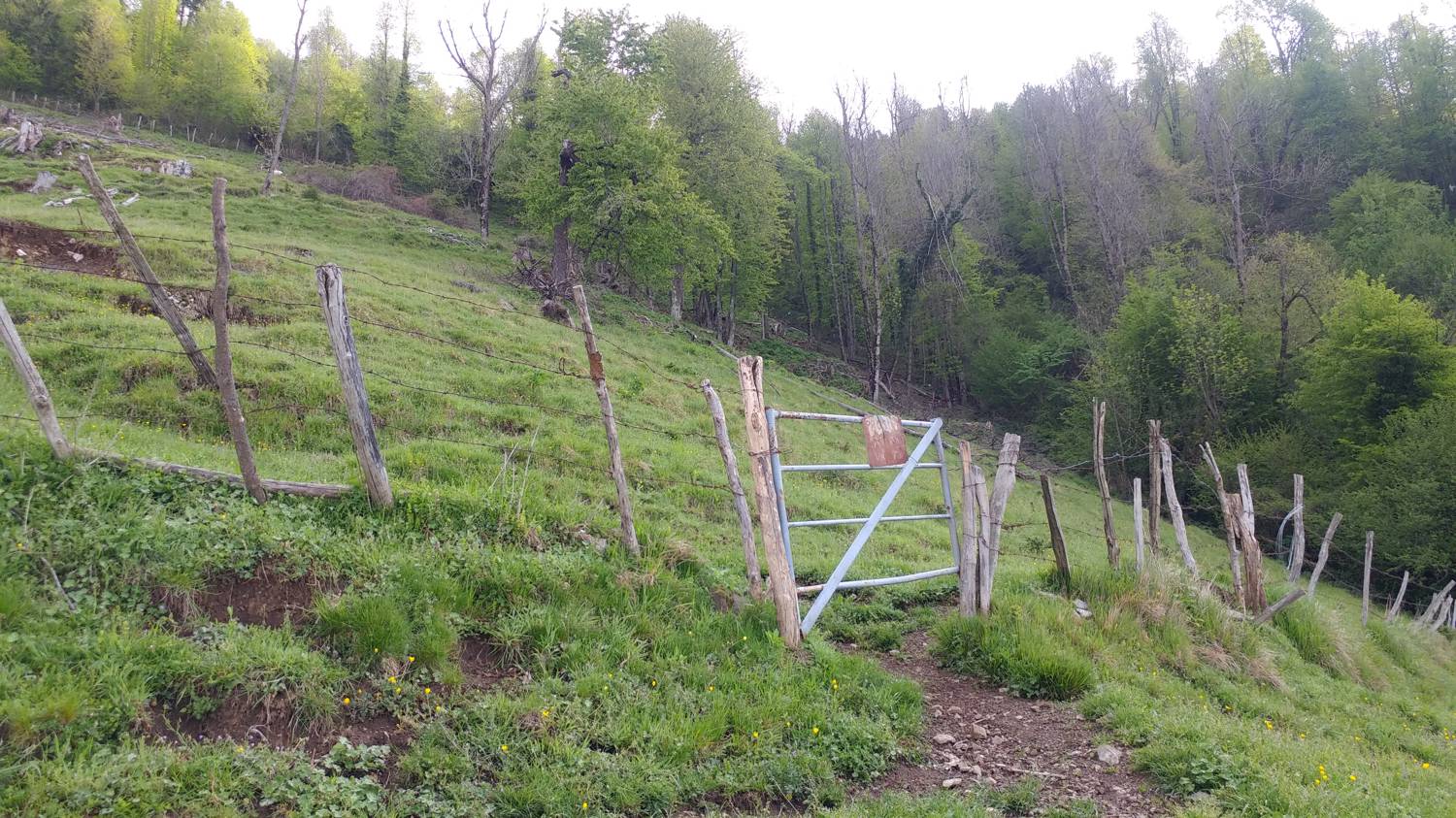 Dolje - Vodel (Vodil vrh) slika 24