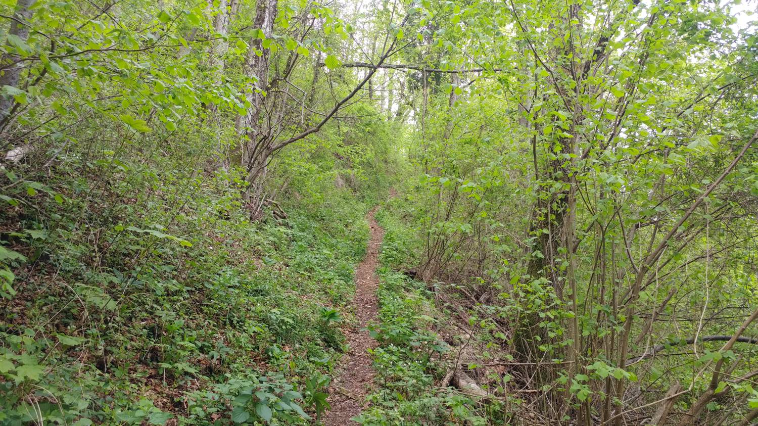 Dolje - Vodel (Vodil vrh) slika 26