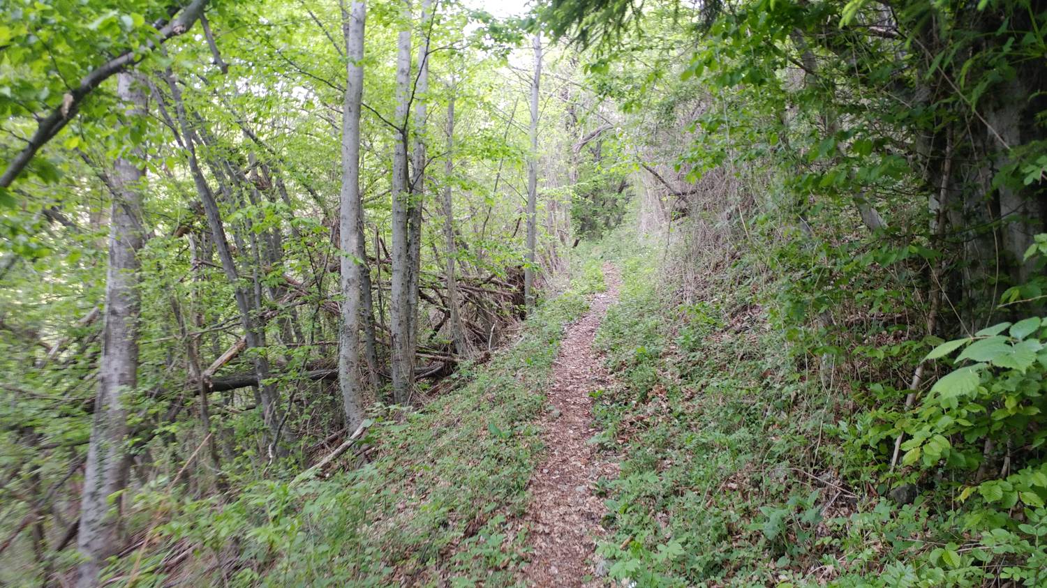 Dolje - Vodel (Vodil vrh) slika 27