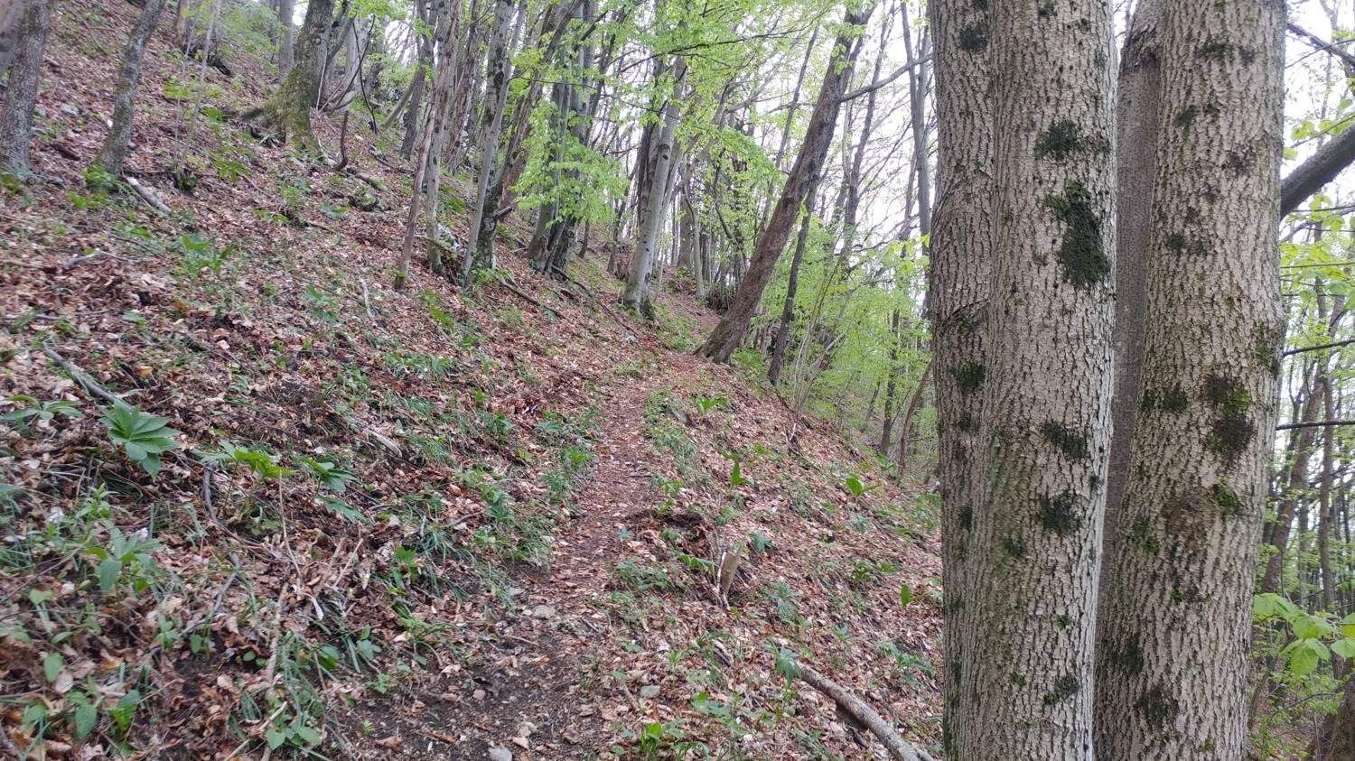 Dolje - Vodel (Vodil vrh) slika 30