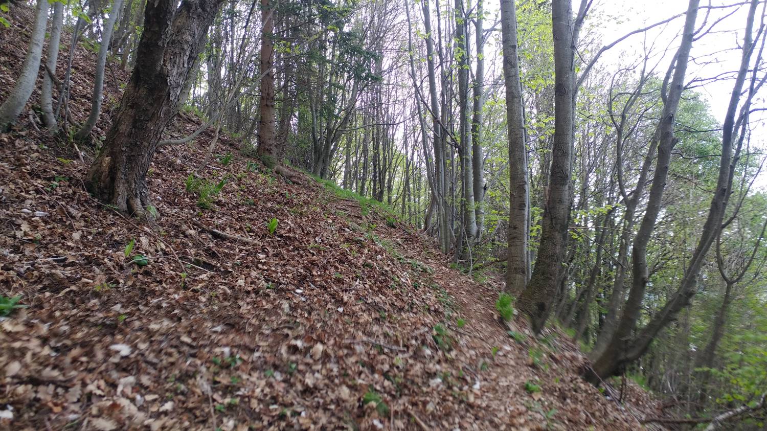 Dolje - Vodel (Vodil vrh) slika 31