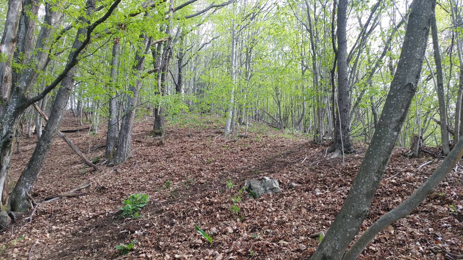 Dolje - Vodel (Vodil vrh) slika 32