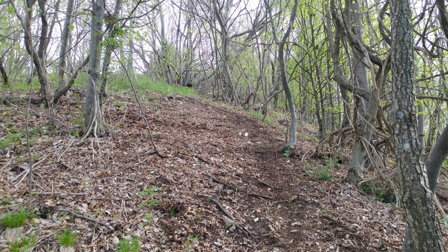 Dolje - Vodel (Vodil vrh) slika 33