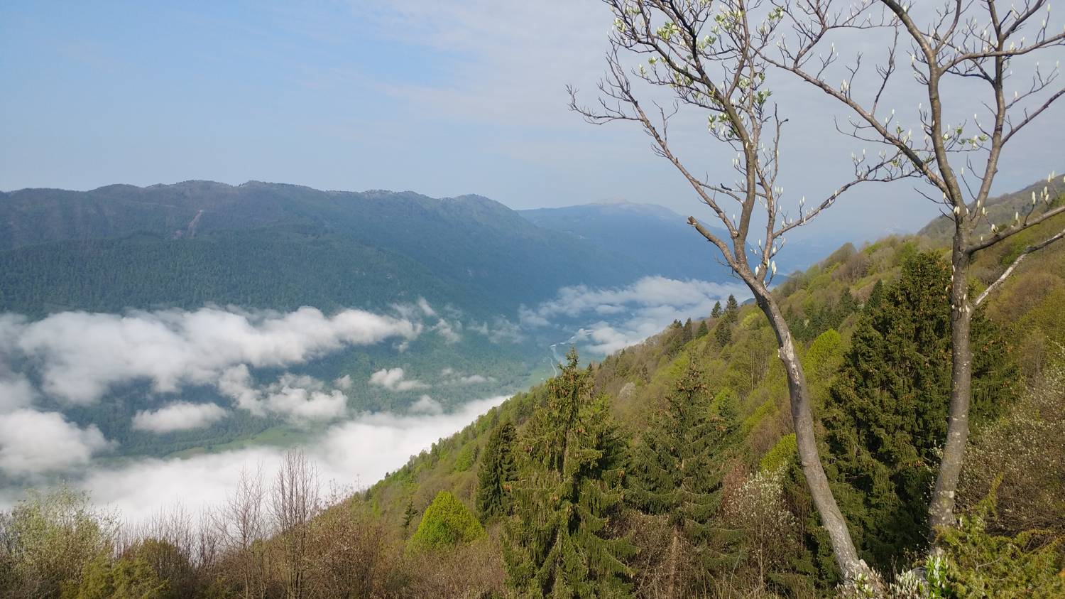 Dolje - Vodel (Vodil vrh) slika 34