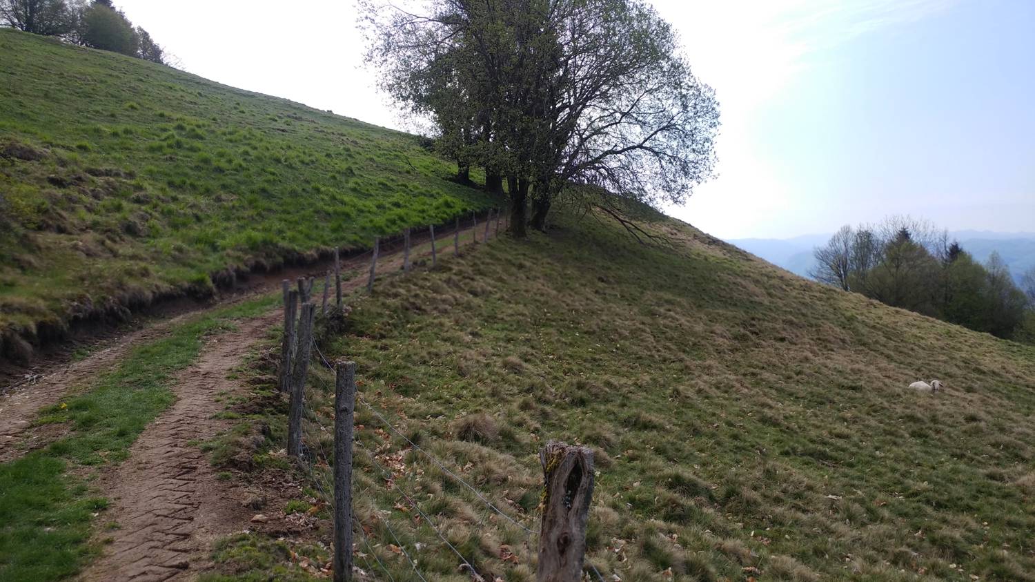 Cerkev Sv. Petra - Vodel (Vodil vrh) slika 24