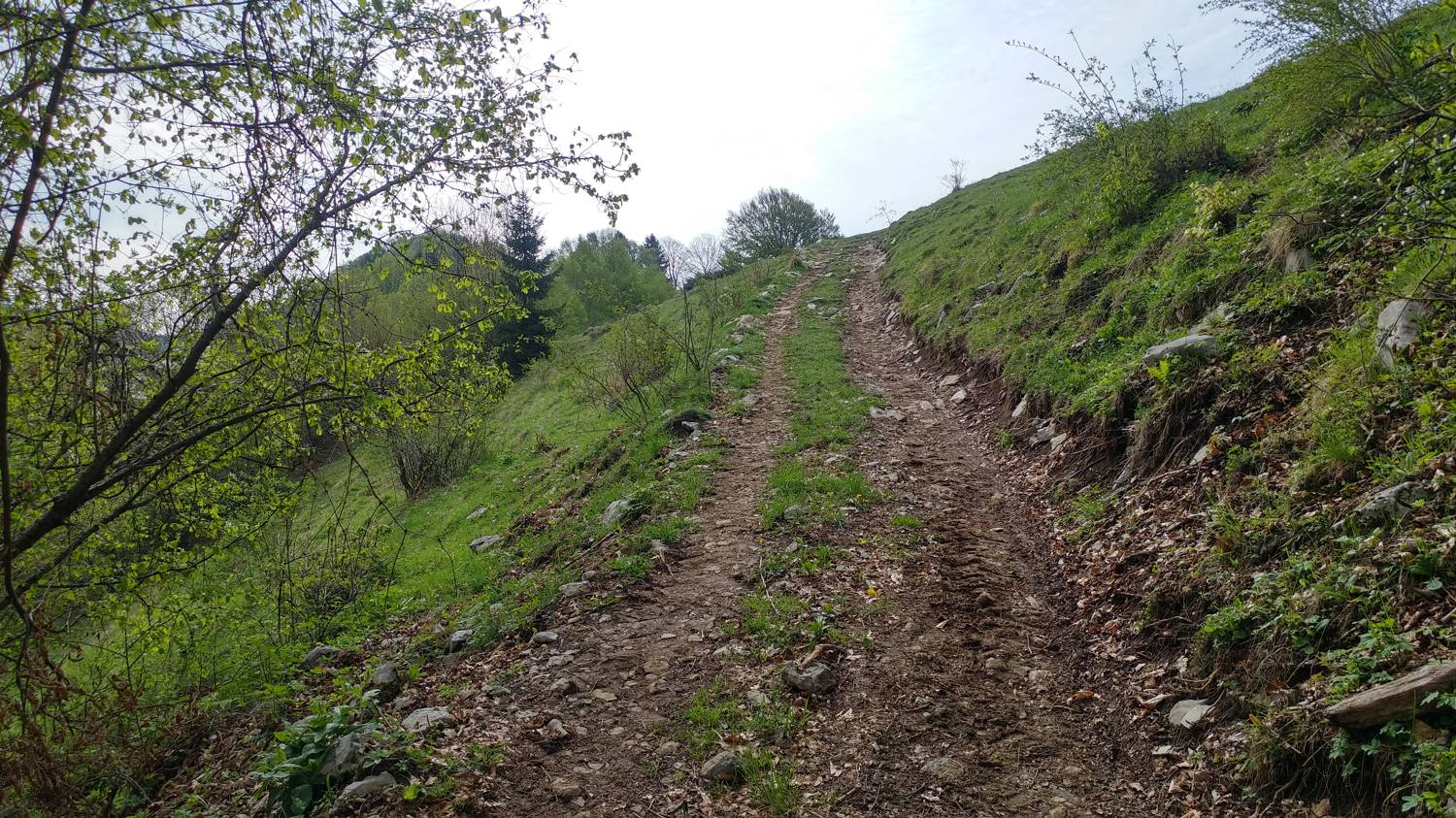 Cerkev Sv. Petra - Vodel (Vodil vrh) slika 21