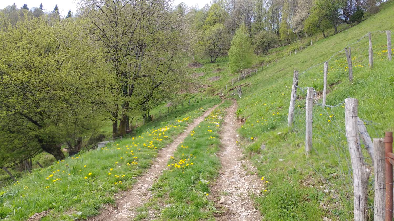 Cerkev Sv. Petra - Vodel (Vodil vrh) slika 20