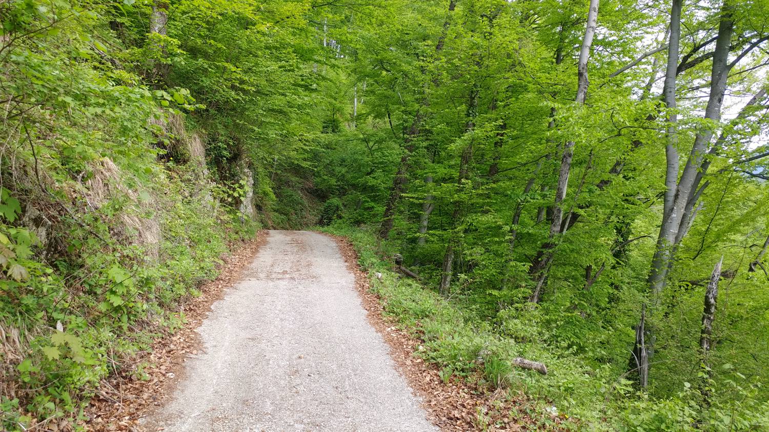 Cerkev Sv. Petra - Vodel (Vodil vrh) slika 13