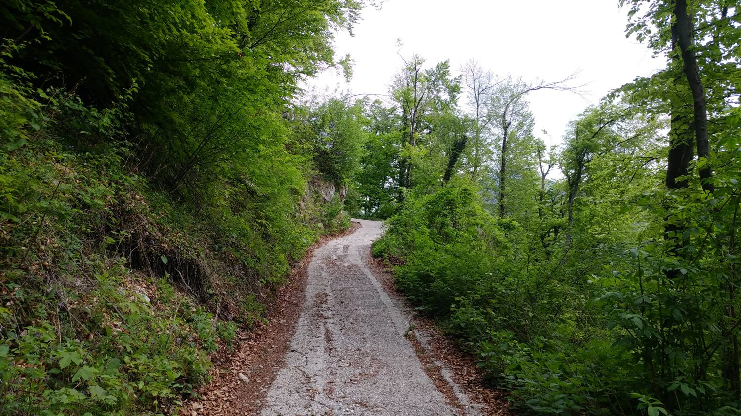 Cerkev Sv. Petra - Vodel (Vodil vrh) slika 12