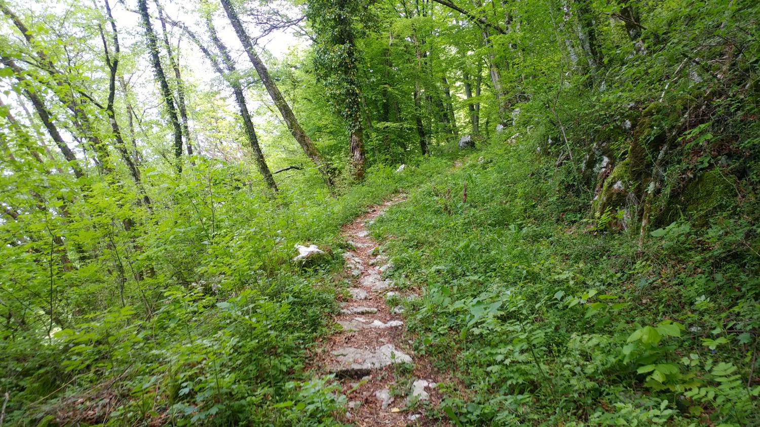 Cerkev Sv. Petra - Vodel (Vodil vrh) slika 8