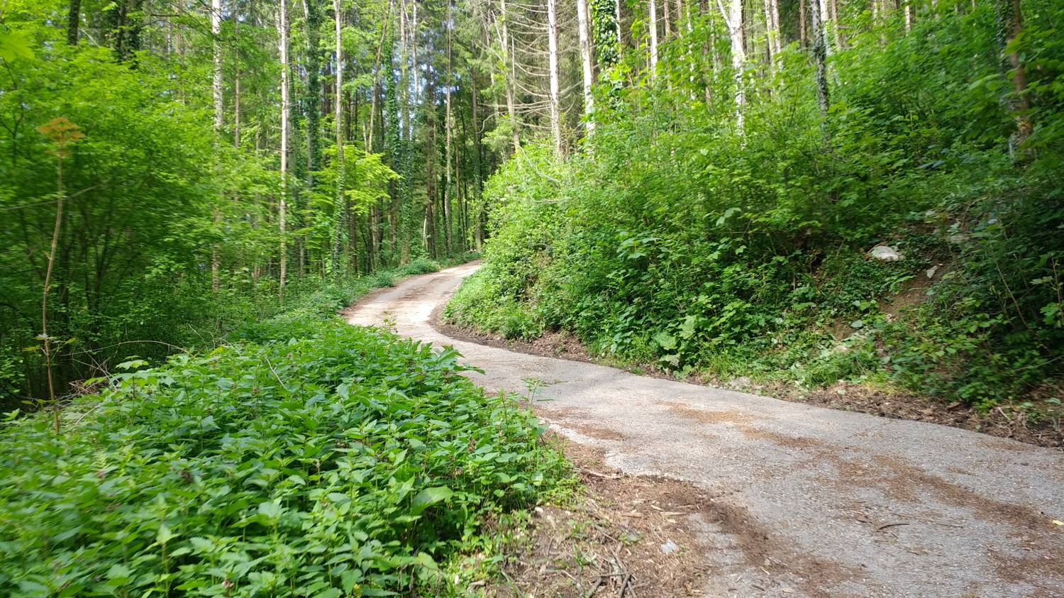Cerkev Sv. Petra - Vodel (Vodil vrh) slika 6