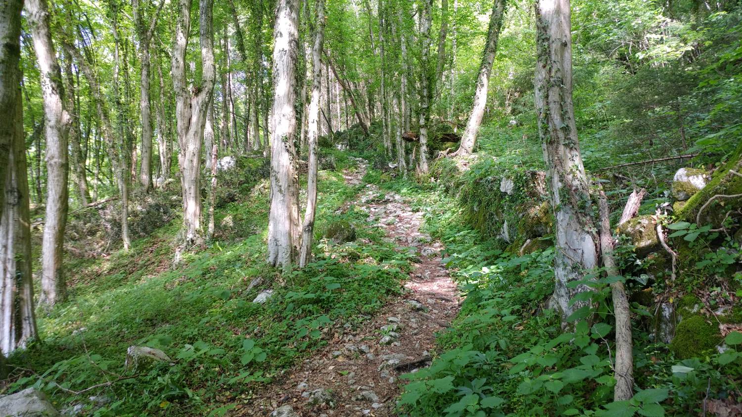 Cerkev Sv. Petra - Vodel (Vodil vrh) slika 4