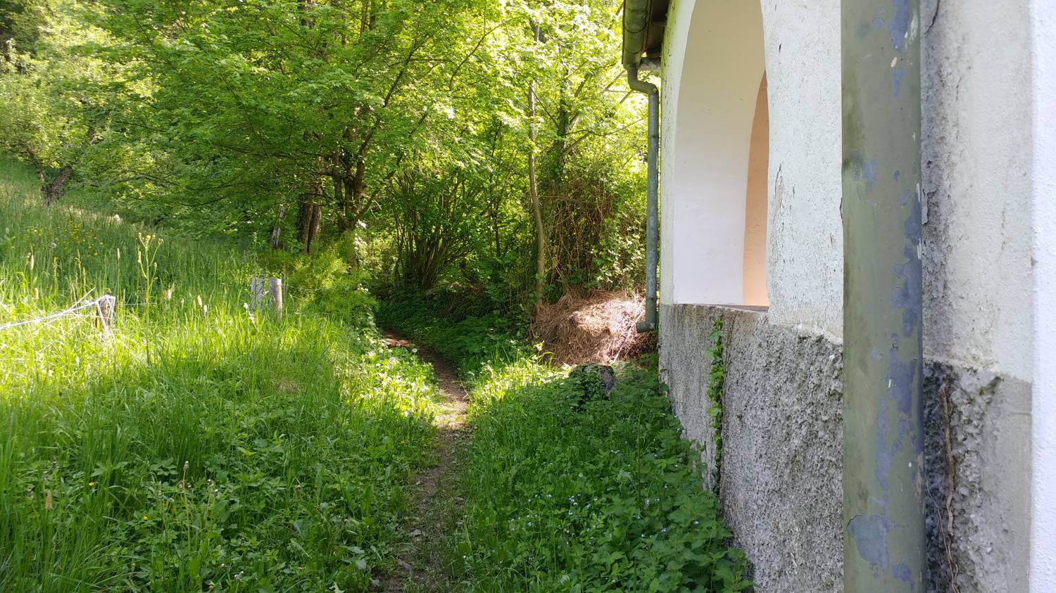 Cerkev Sv. Petra - Vodel (Vodil vrh) slika 3