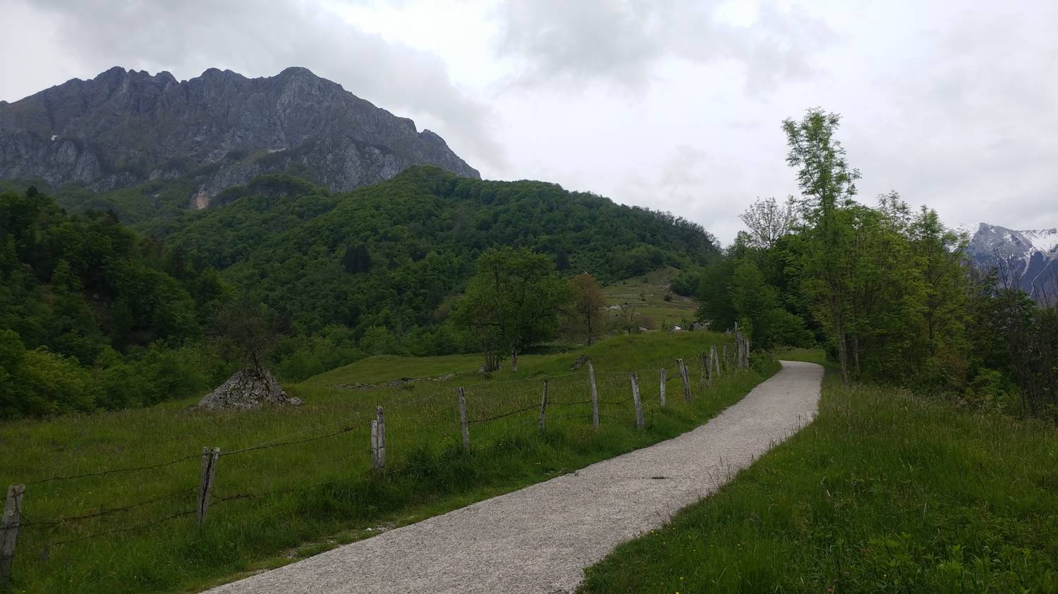 Cerkev Sv. Petra - Javorca slika 20