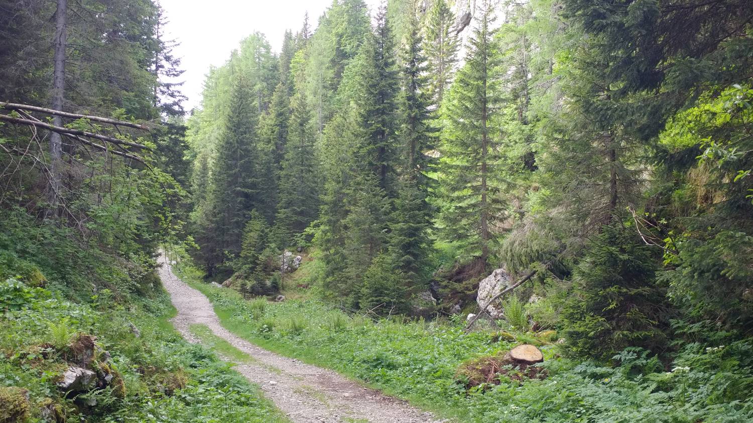 Dom v Lepeni - Dom pri Krnskih jezerih slika 25