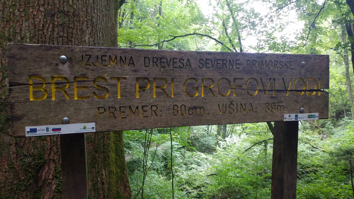 Dolje - Grofova voda slika 15