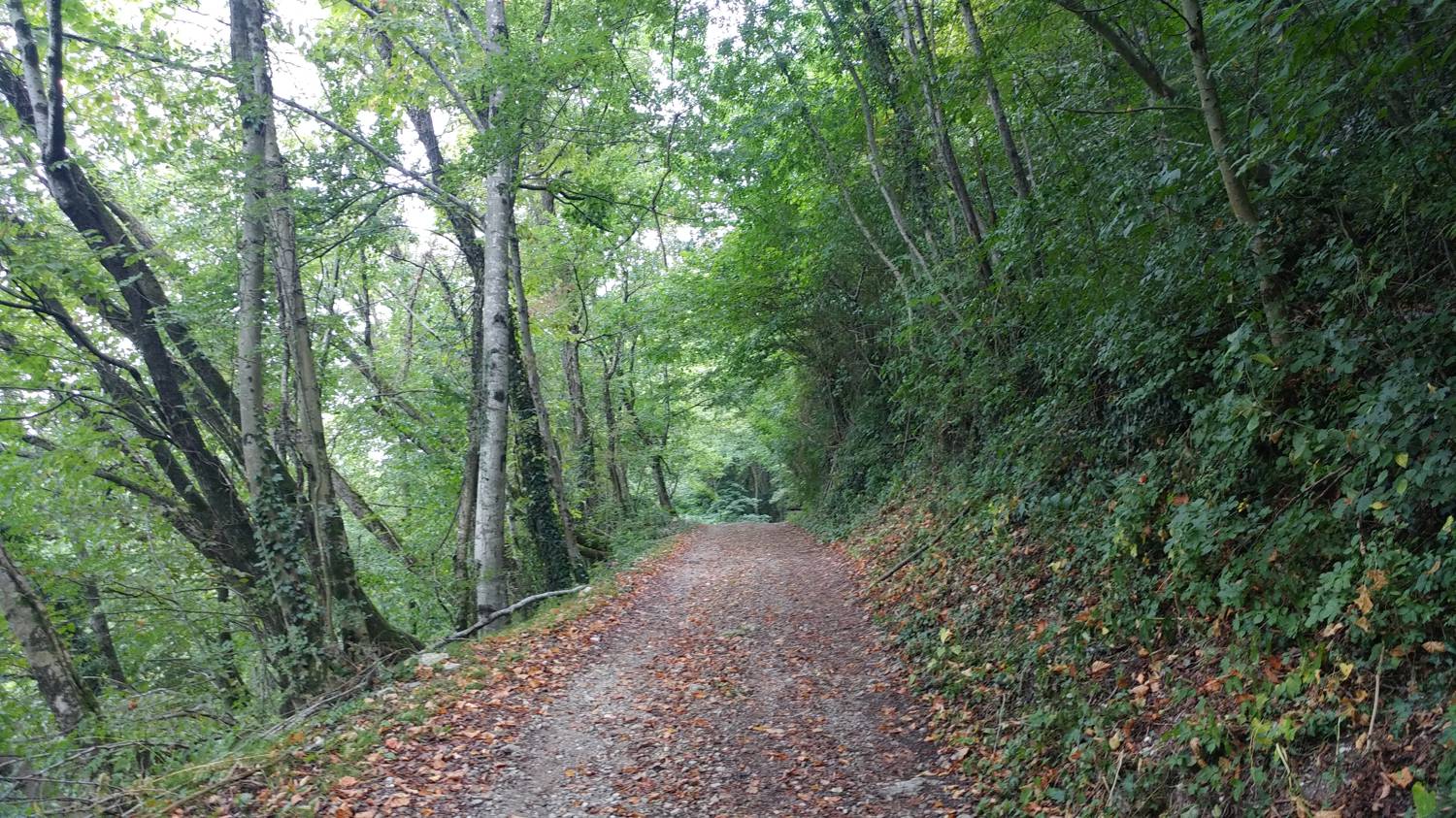 Dolje - Grofova voda slika 9
