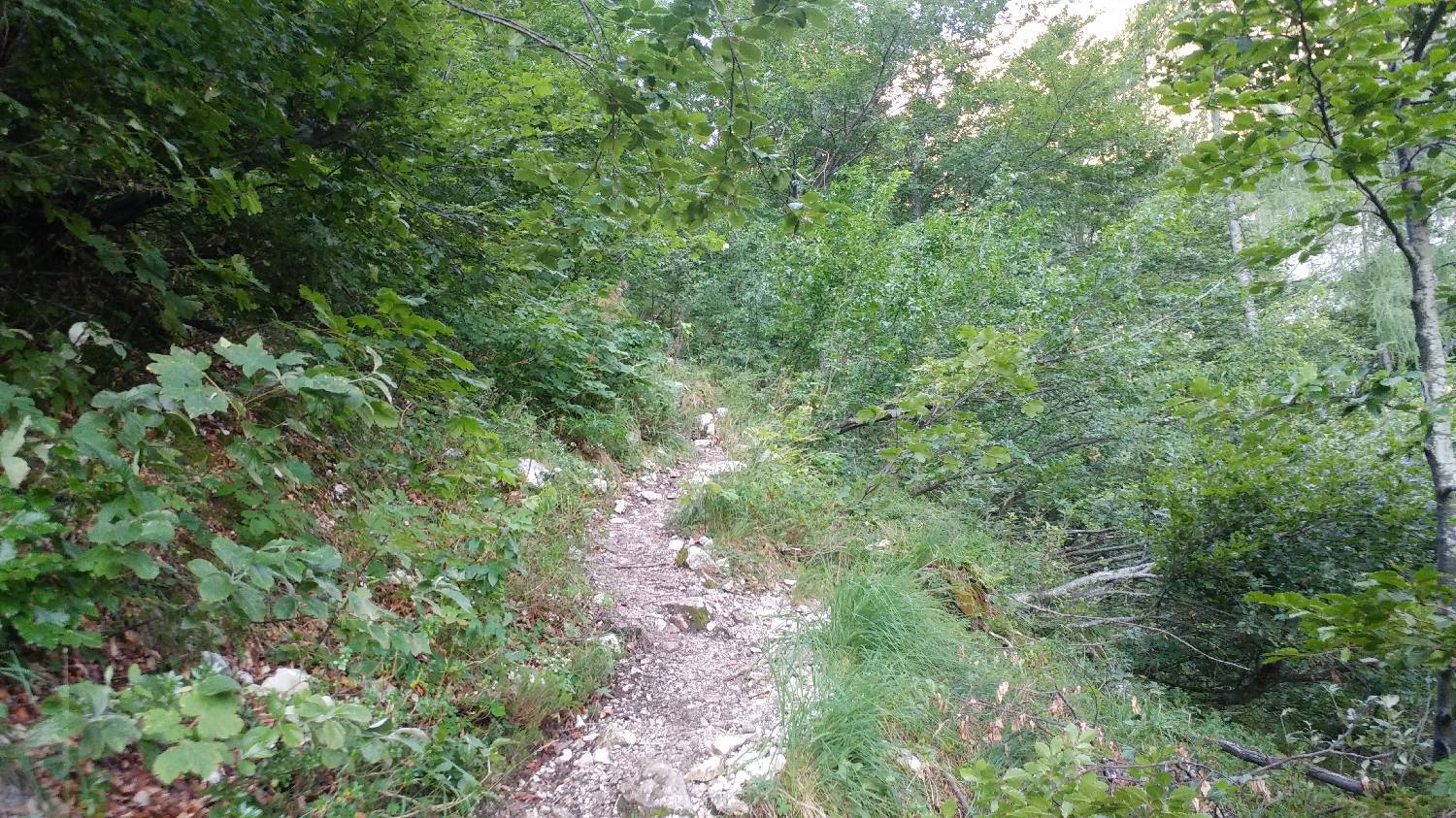Dolina Kot - Triglav slika 8