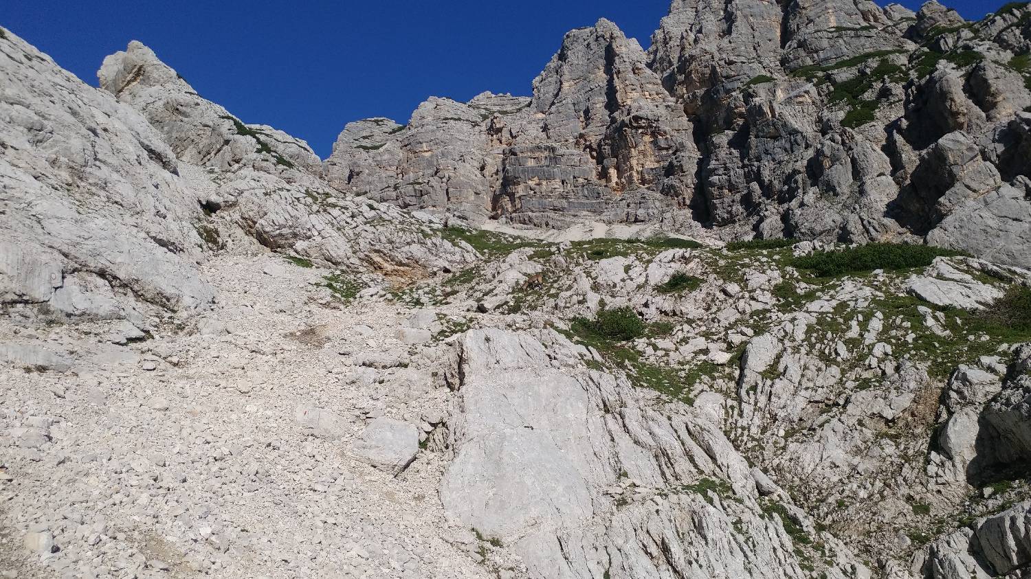 Dolina Kot - Triglav slika 24