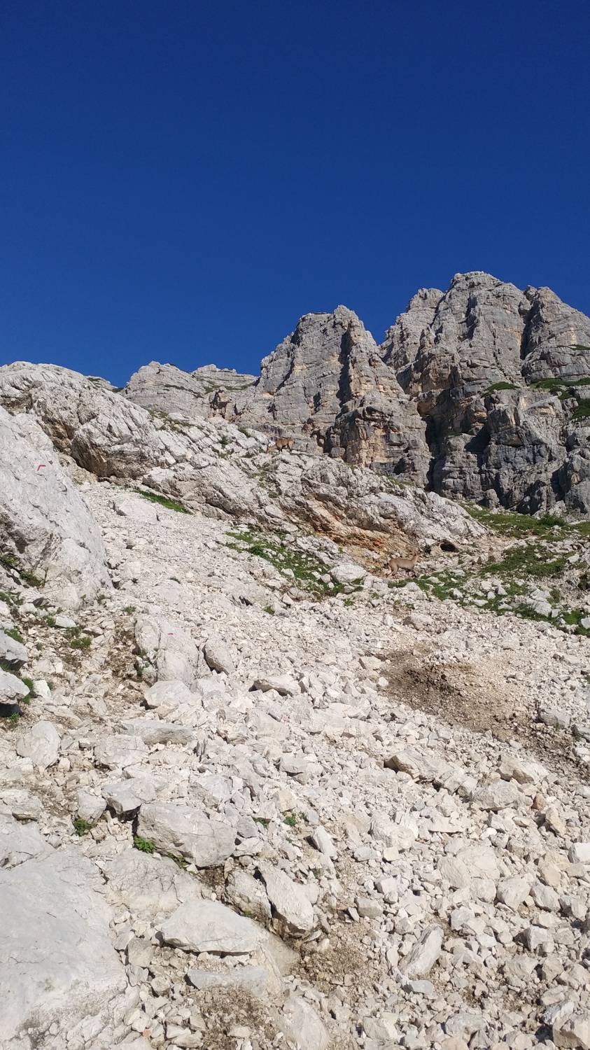Dolina Kot - Visoka Vrbanova Špica slika 25