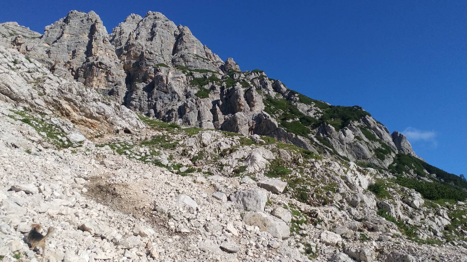 Dolina Kot - Triglav slika 25