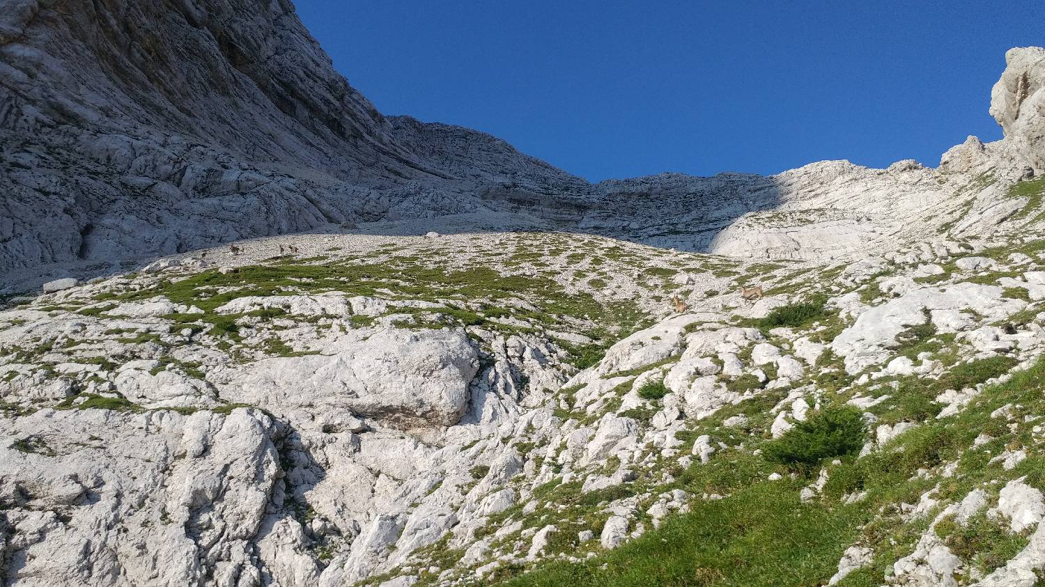 Dolina Kot - Triglav slika 27