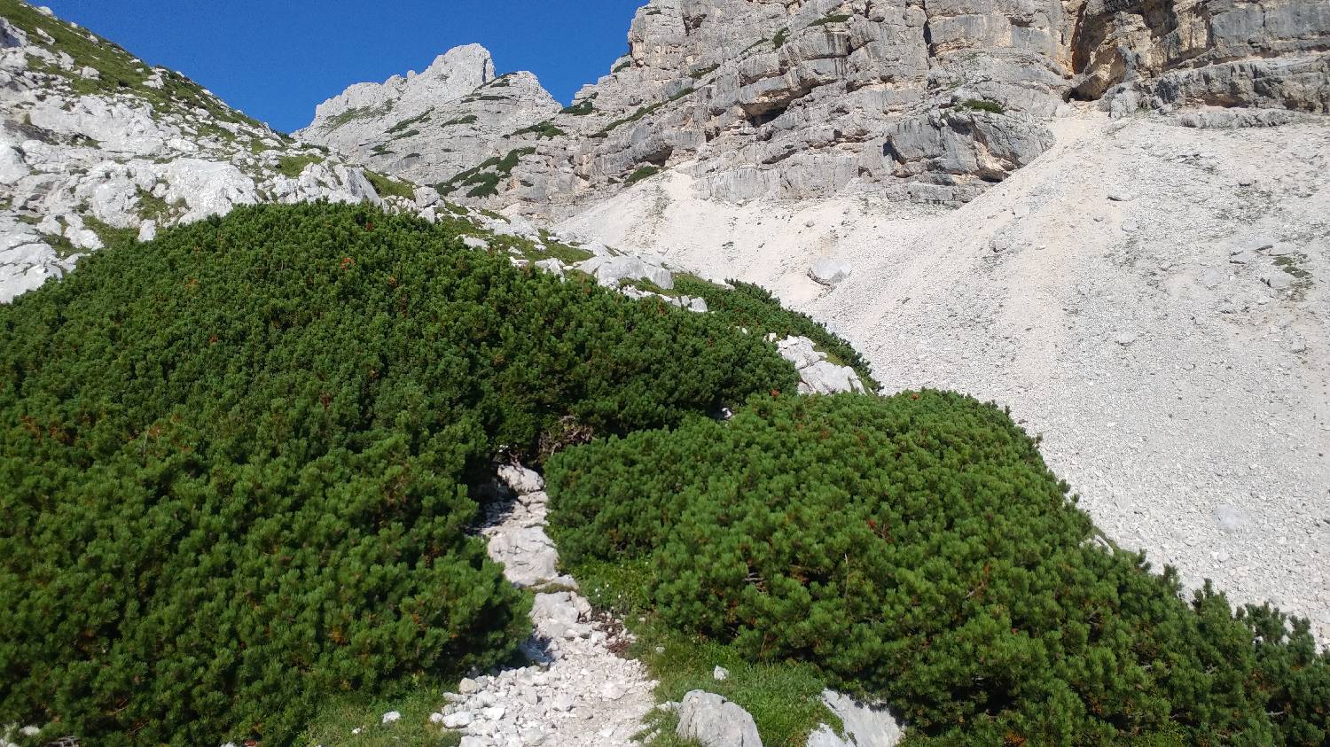 Dolina Kot - Triglav slika 31
