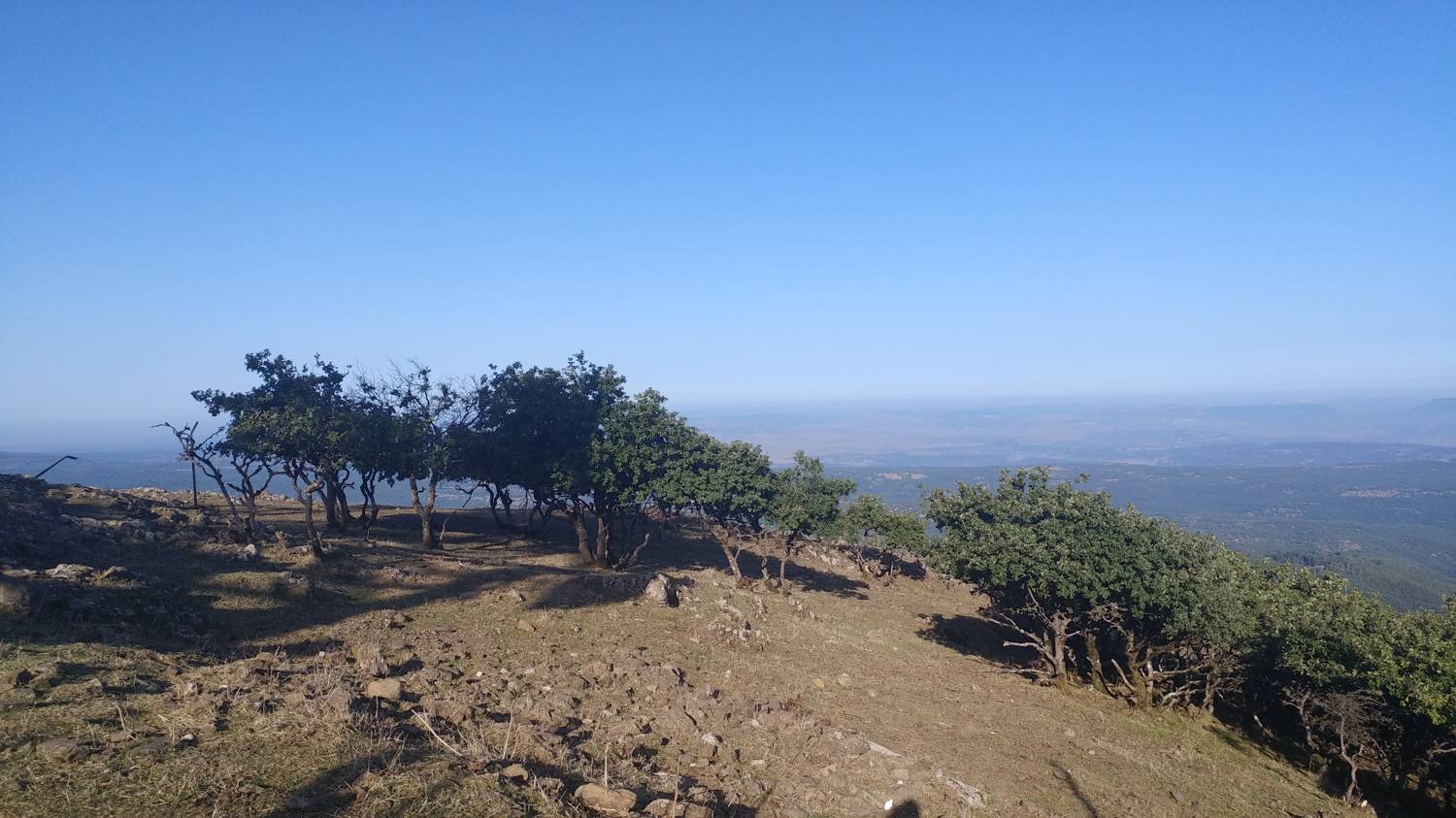 [object Object] - [object Object] main photo
