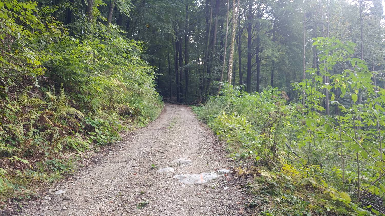 Ljubinj - Senica slika 14