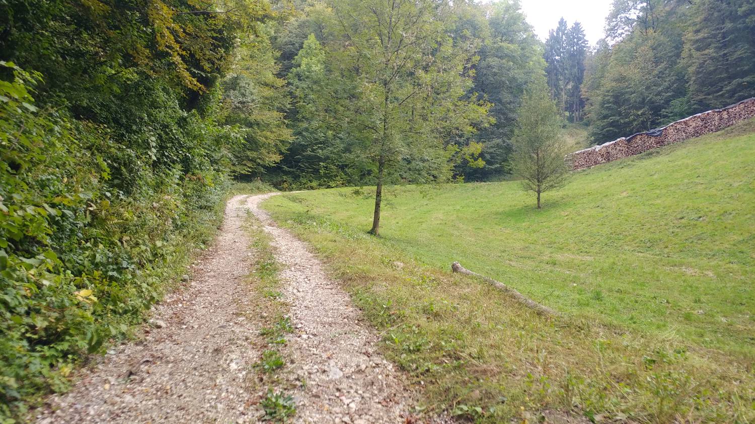 Ljubinj - Senica slika 18
