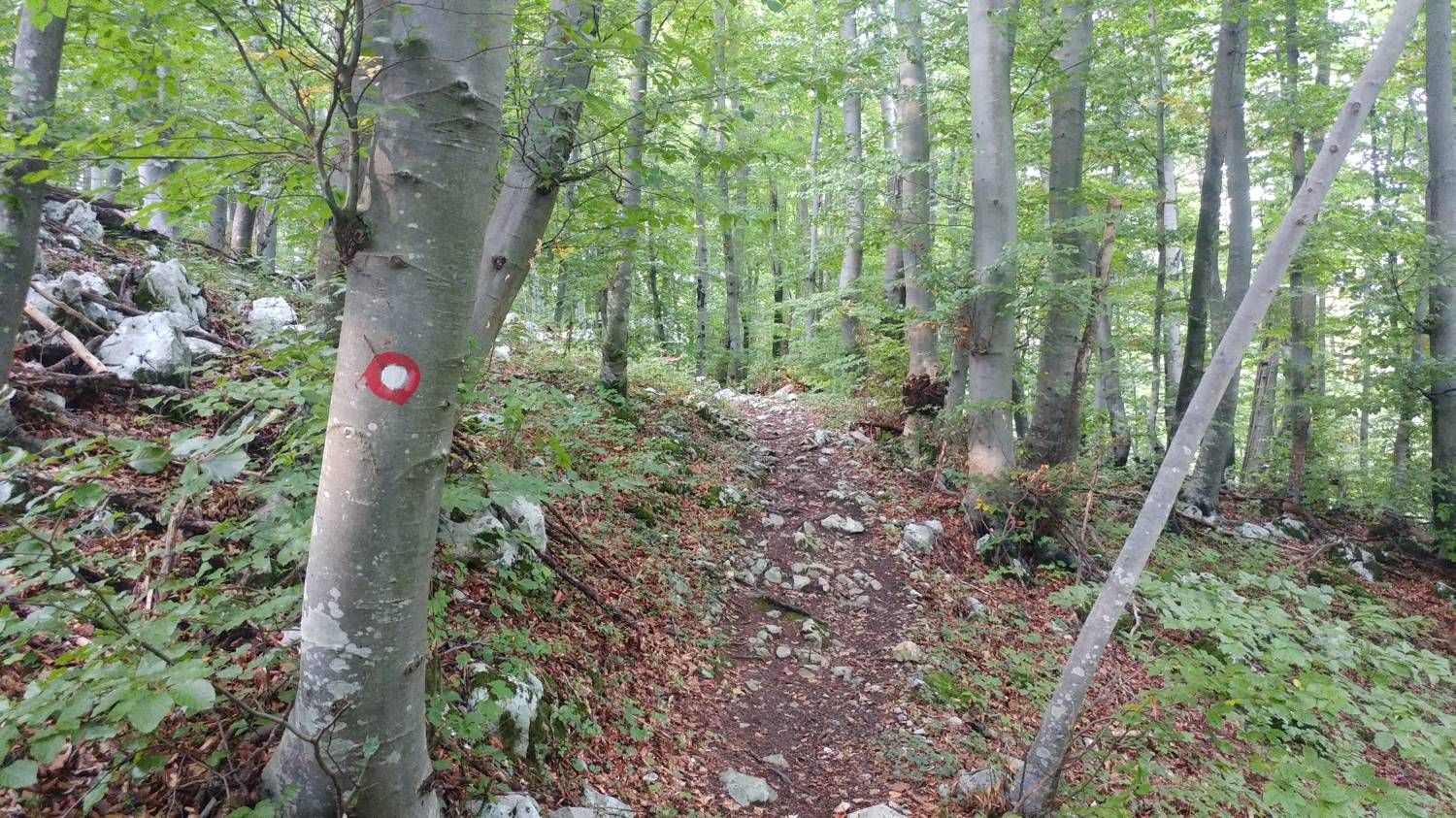 Ljubinj - Senica slika 22