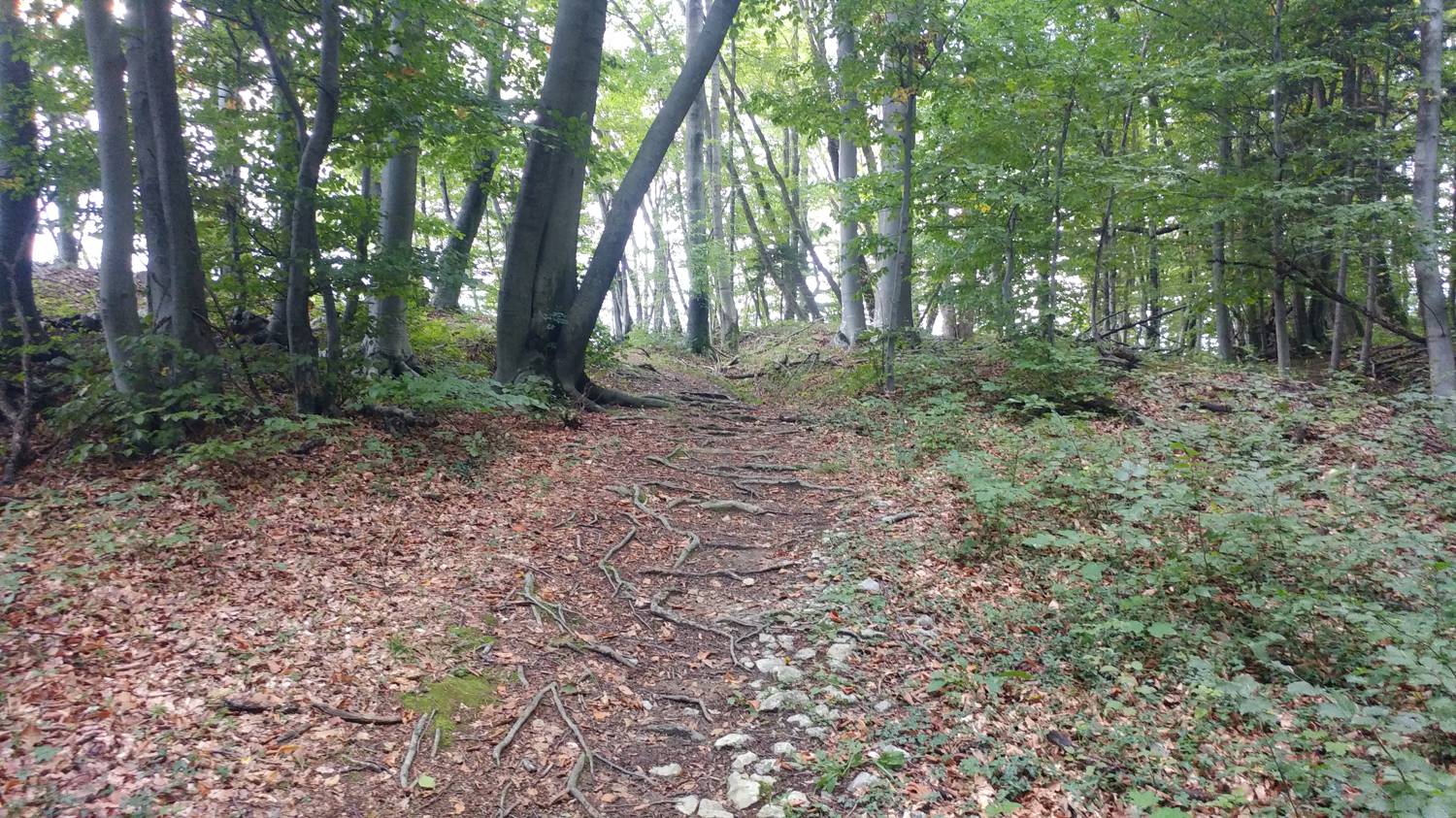 Ljubinj - Senica slika 23