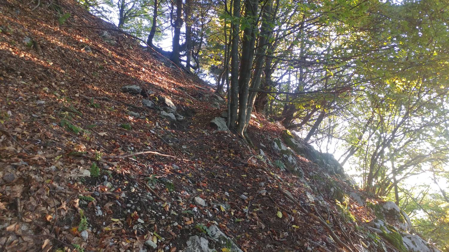 Koča na planini Stador - Kobilja glava slika 14