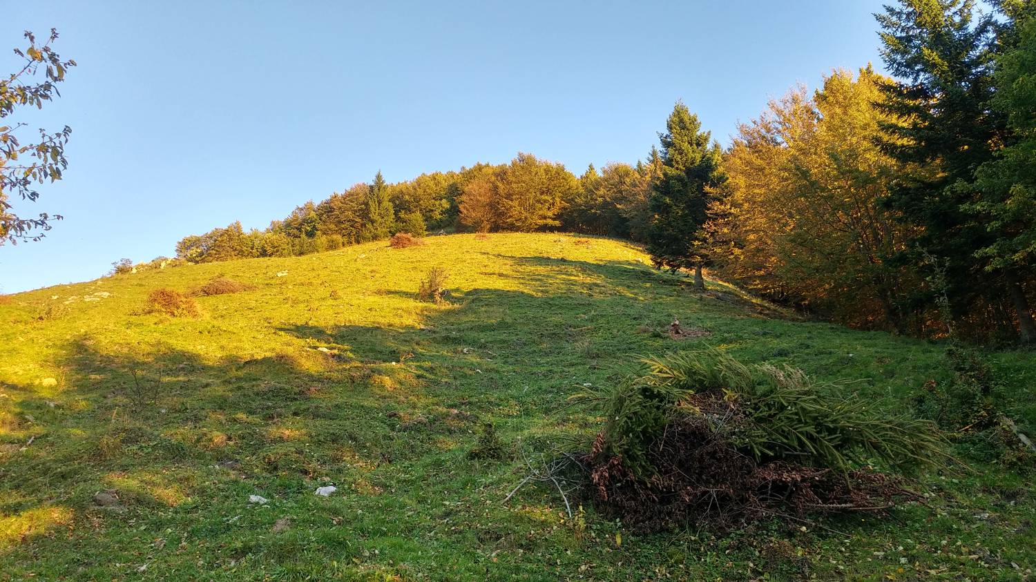 Koča na planini Stador - Kobilja glava slika 10