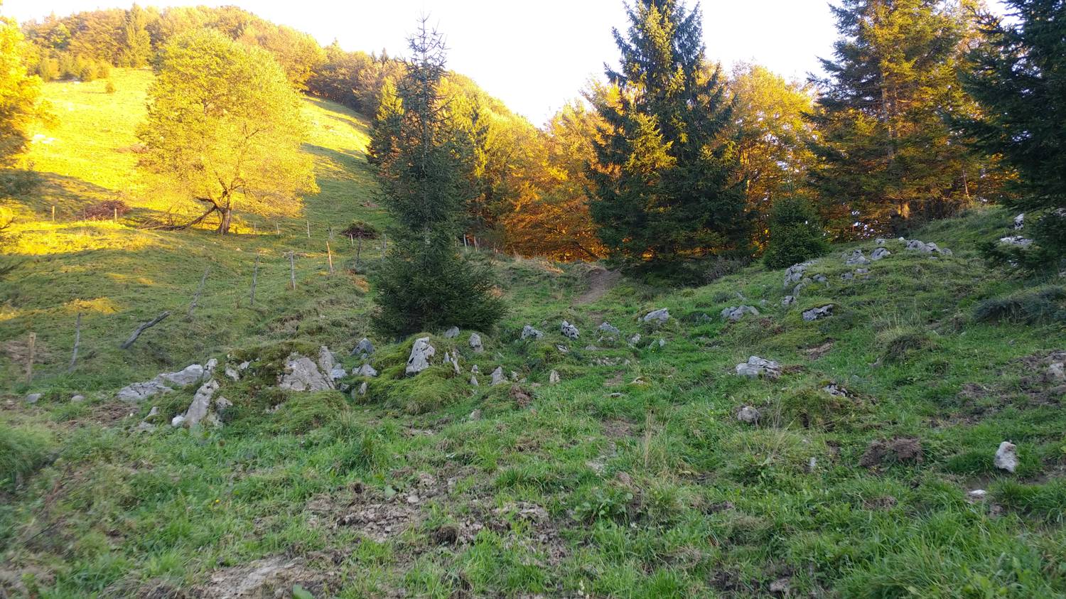 Koča na planini Stador - Kobilja glava slika 9
