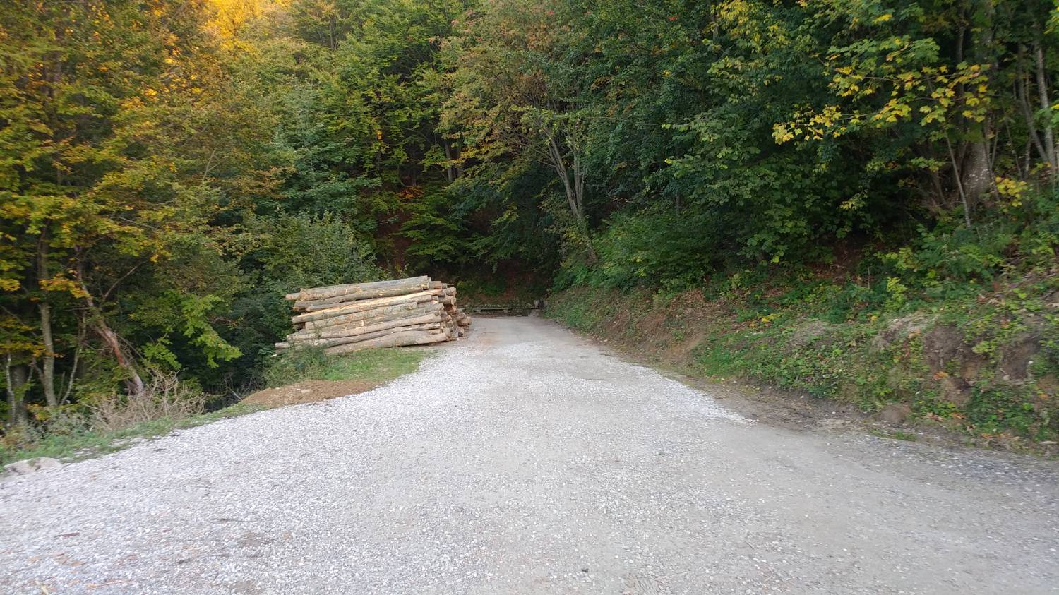 Koča na planini Stador - Planina Lom slika 3