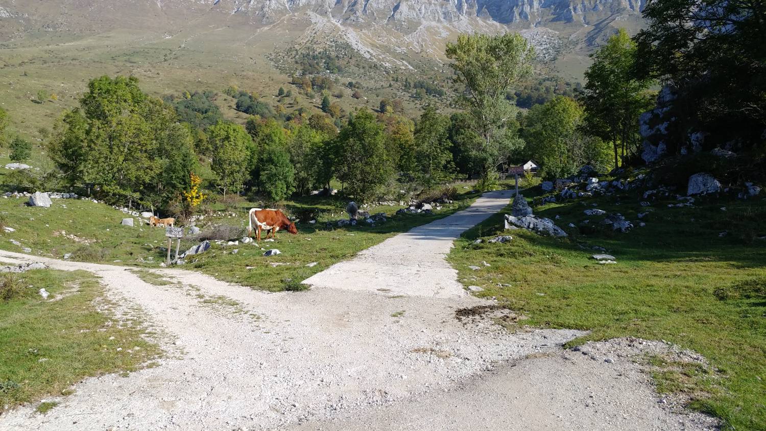Planina Kuhinja - Planina Leskovca slika 6