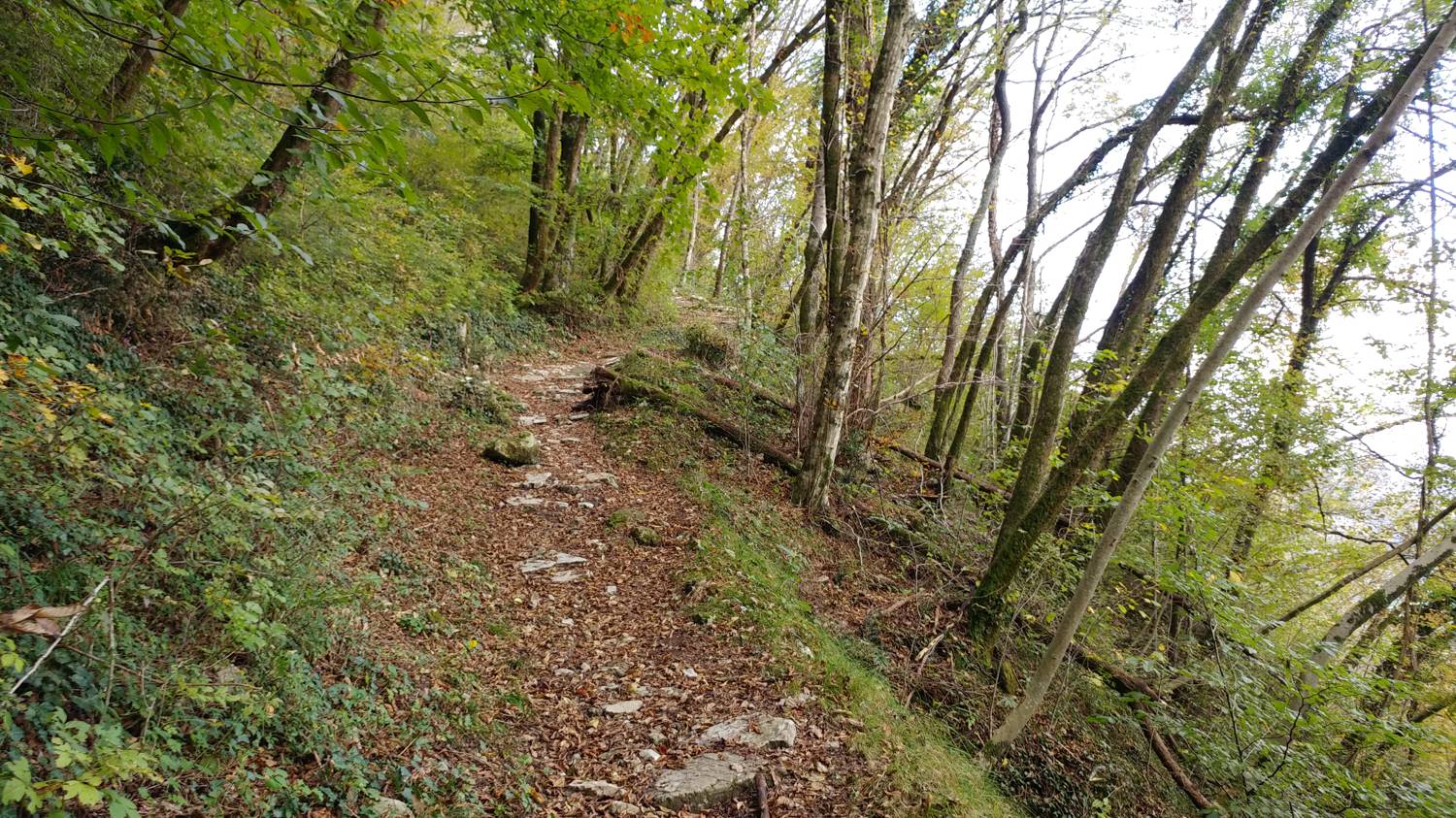 Gabrje - Mrzli vrh slika 16