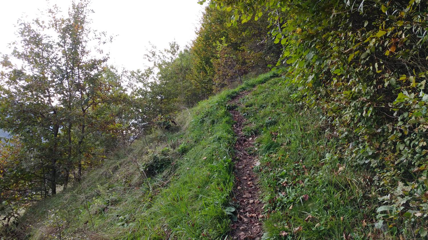 Gabrje - Mrzli vrh slika 10